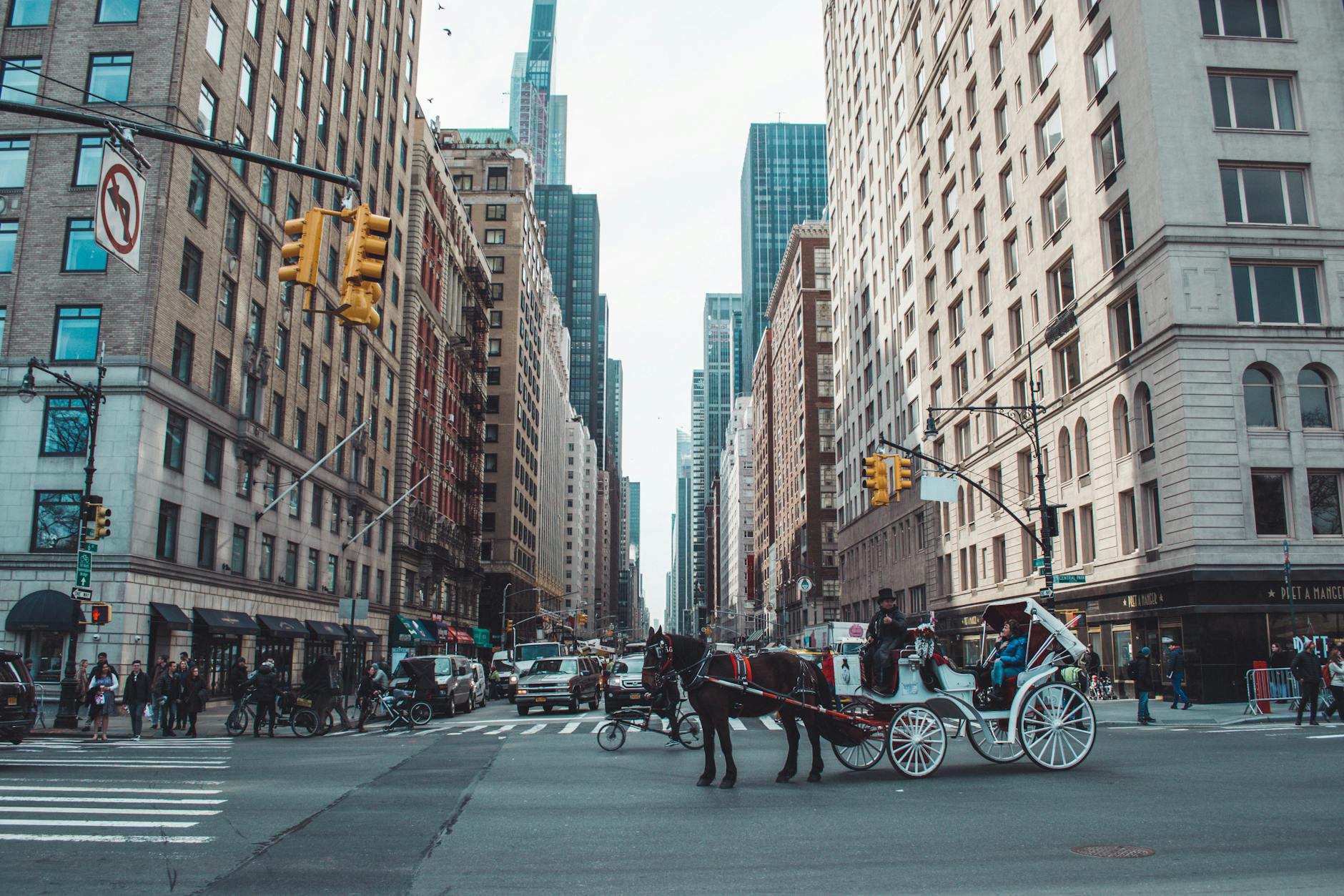 Before Traffic Lights Existed, American Streets Were Basically a Contact Sport