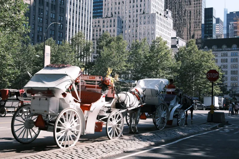 The Original Urban Gridlock Was Made of Horses — And It Was Absolutely Catastrophic